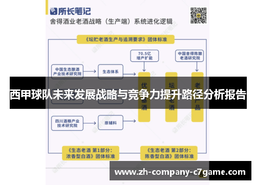 西甲球队未来发展战略与竞争力提升路径分析报告