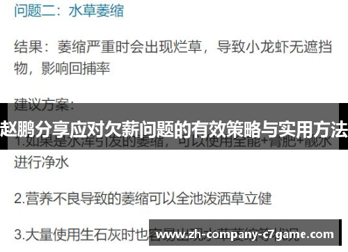赵鹏分享应对欠薪问题的有效策略与实用方法 赵鹏分享应对欠薪问题的有效策略与实用方法